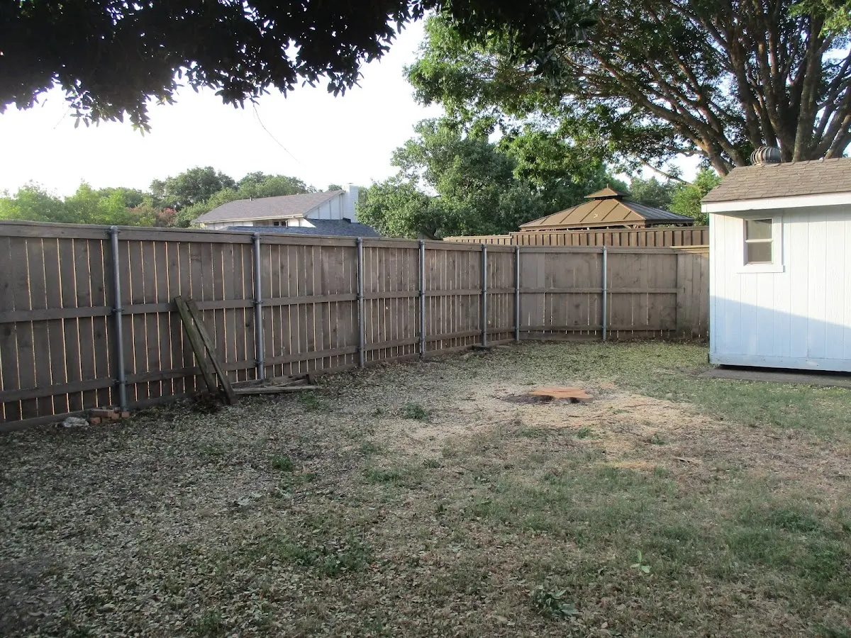 Cleared yard after professional tree removal in Jamesville